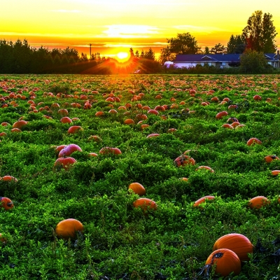 Calendar cu imagini Landscapes, 31.5 x 48 cm, 12 file, 2026